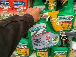 Monsanto Roundup Weed Killer