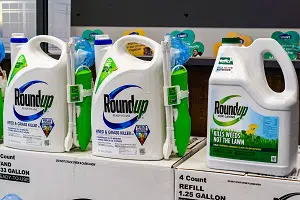 Monsanto Roundup Weedkiller in Stores